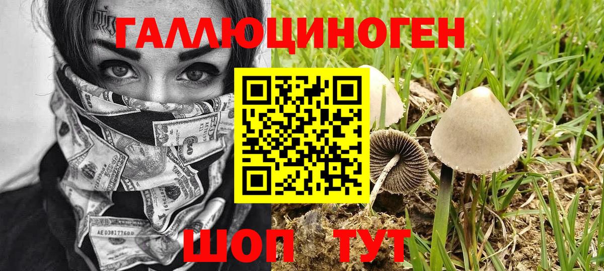 Ульяновск  Псилоцибиновые грибы Magic Shrooms  Вход с VPN  закладка  Галлюциногенные грибы мухоморы 