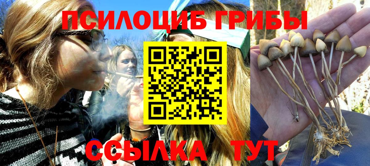 Галлюциногенные грибы GOLDEN TEACHER Ульяновск